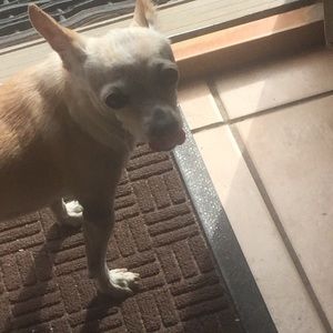 Meet your Posher, Billy